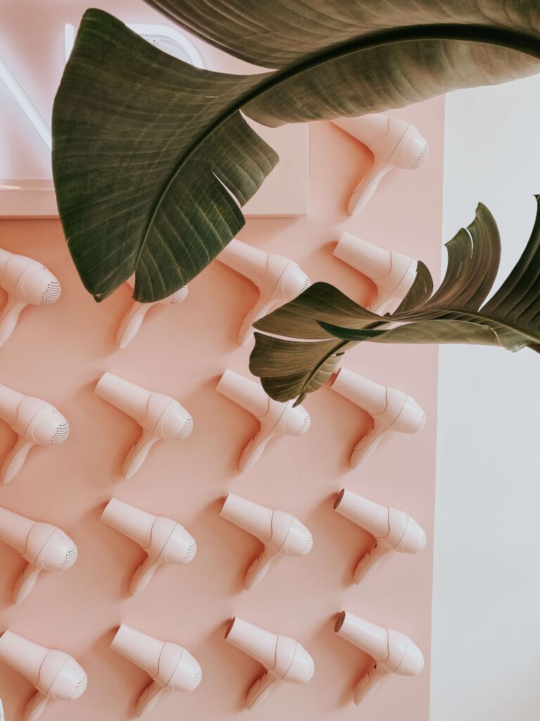 Two plant leaves in front of a pink wall